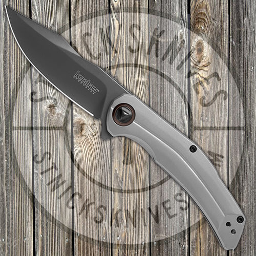 Kershaw Knives Believer - Assisted Opening - Stainless Handle - PVD Blade - 2070