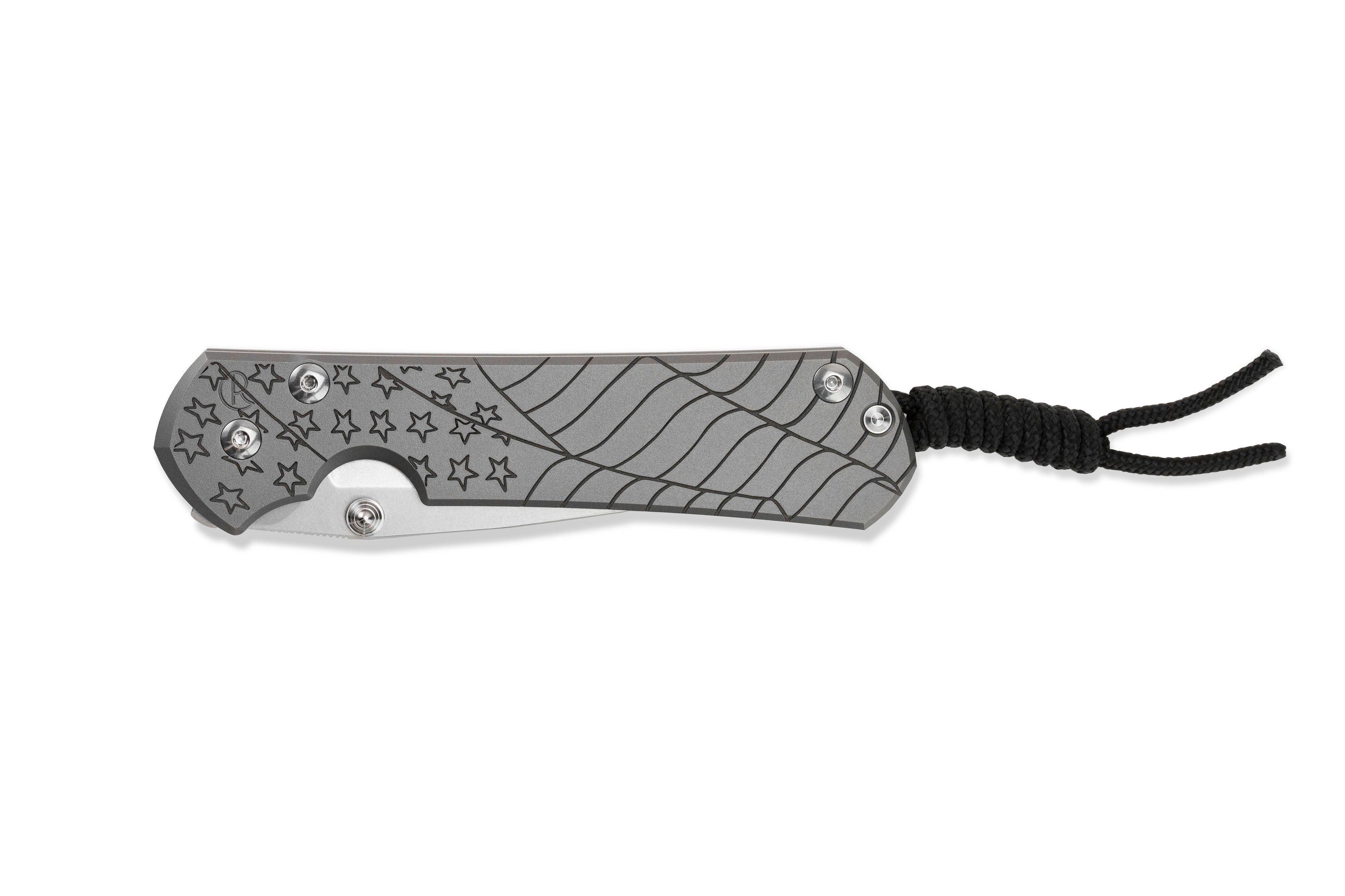 Chris Reeve - Large Sebenza 31 - 2022 CGG "Forever Flag" - Drop Point - Glass Blasted - L31-1690