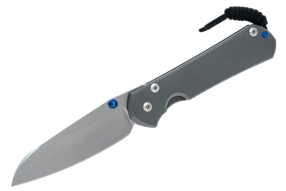 Chris Reeve Knives Large Sebenza 31 - Insingo - Glass Blasted Handle - L31-1685