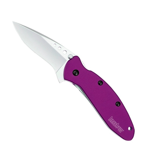 Kershaw Knives - Scallion - Purple - 1620PUR