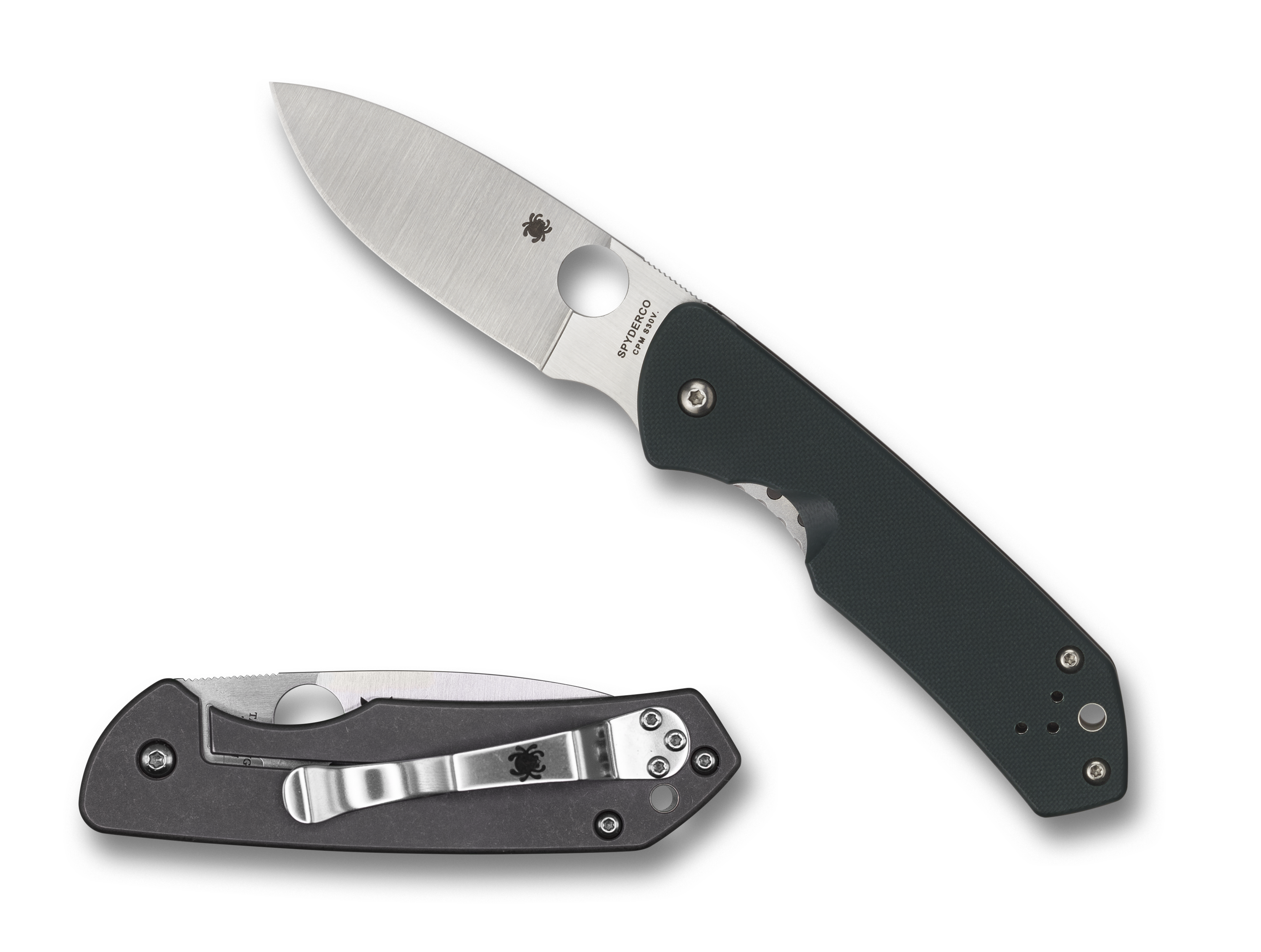 Spyderco Brouwer - Plain Titanium/Green G10 - CPM-S30V - C232GTIP