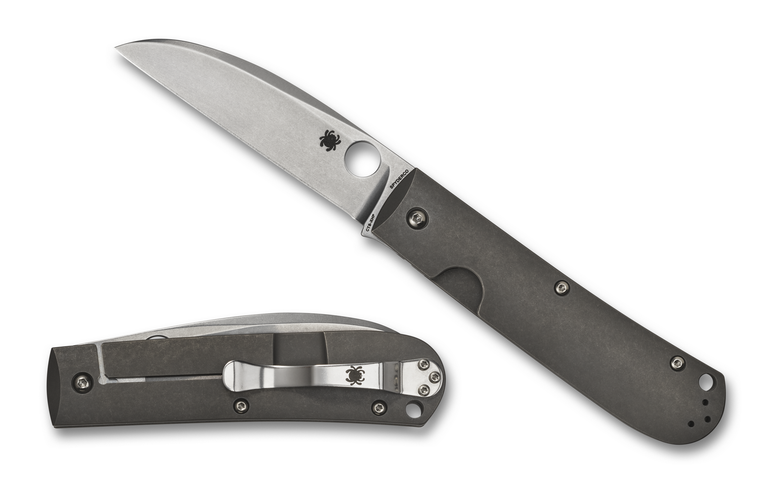 Spyderco Swayback - Titanium - CTS-XHP - C249TIP - CLOSEOUT