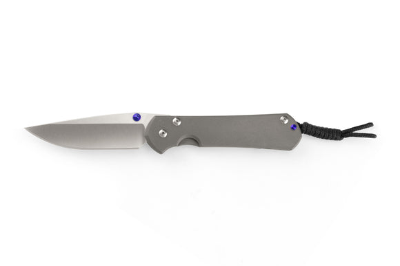 Chris Reeve Knives Large Sebenza 31 - Drop Point - L31-1000