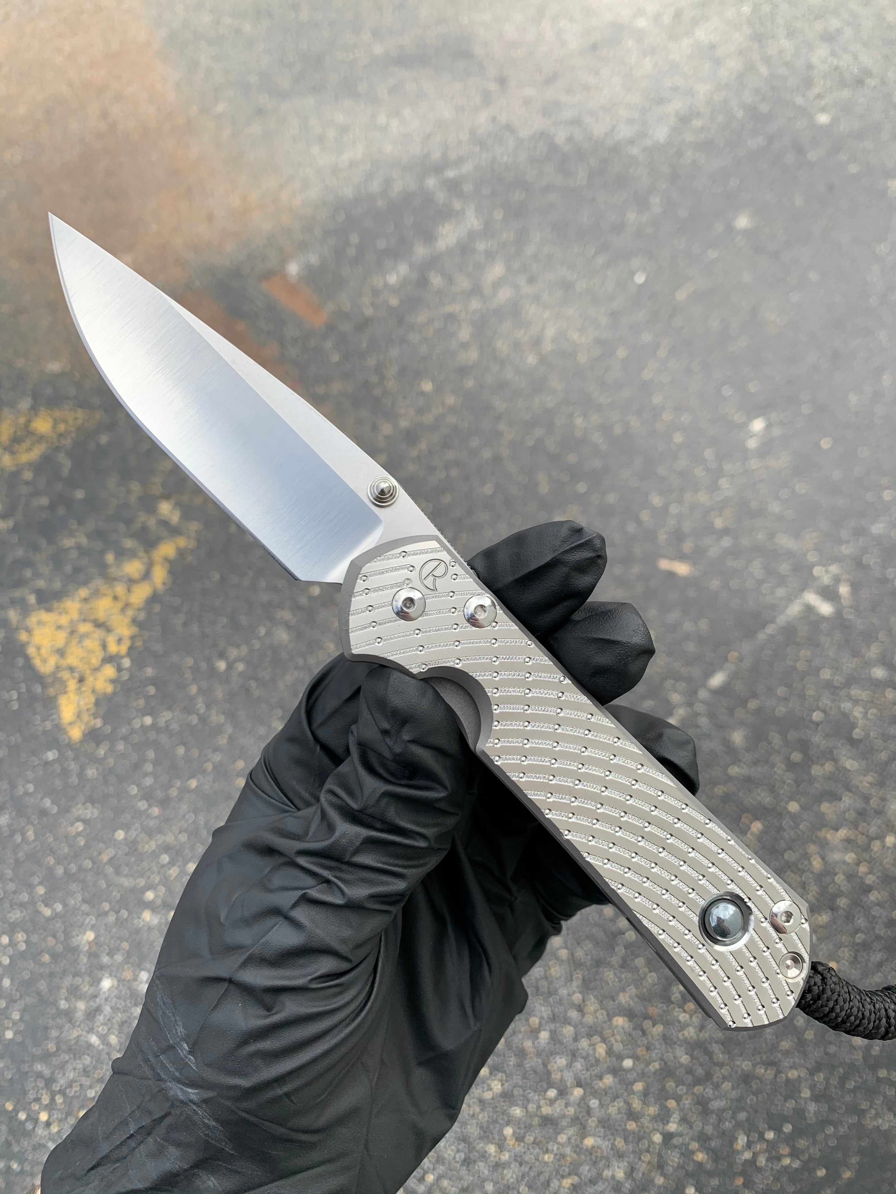 Chris Reeve - Large Sebenza 31 - Unique - Drop Point - Hematite Cabochon - SS20 “A” - L31-1400