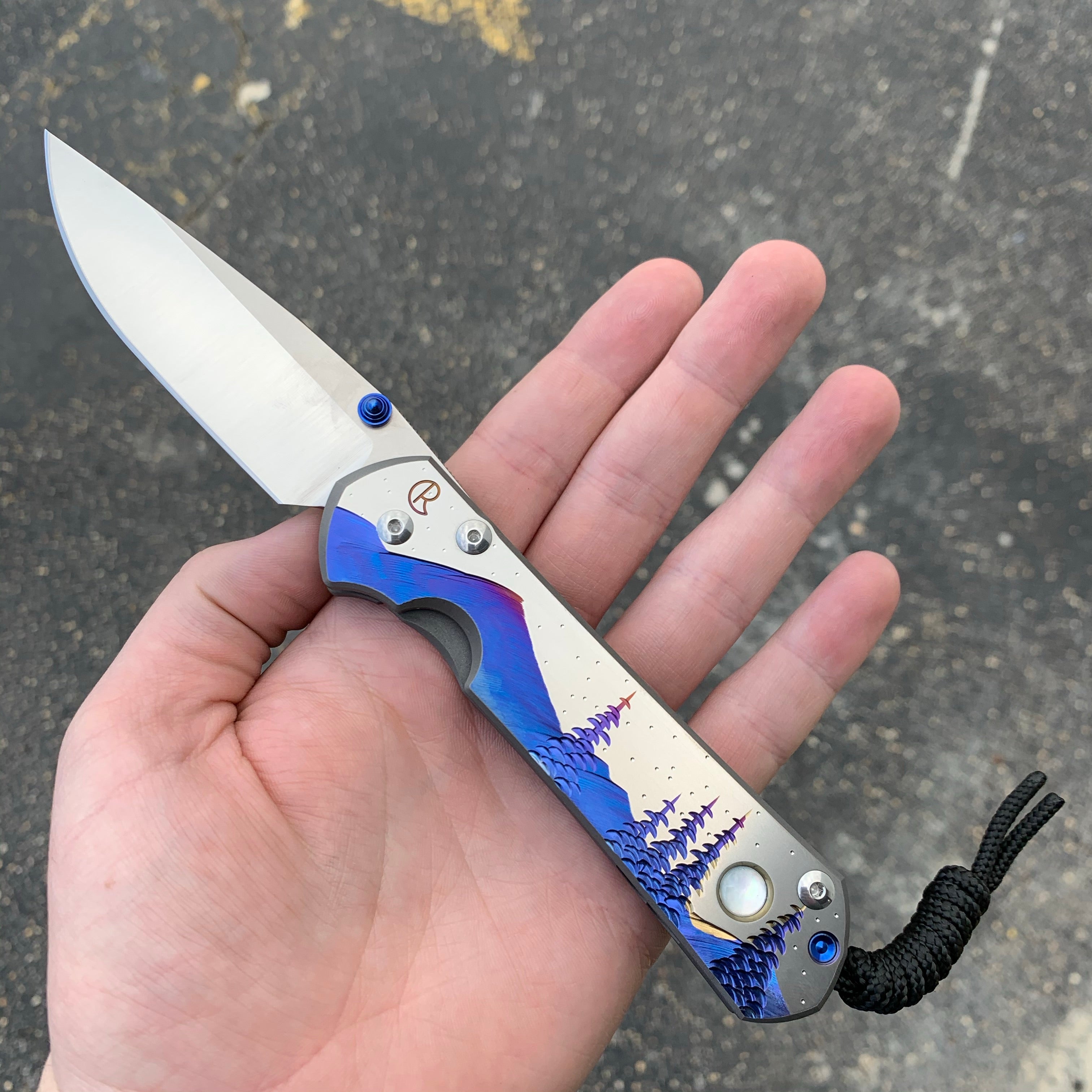 Chris Reeve - Large Sebenza 31 - Unique w/ Cabochon Drop Point - Night Sky w/ Mother of Pearl - L31-1408
